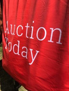 #auction Day