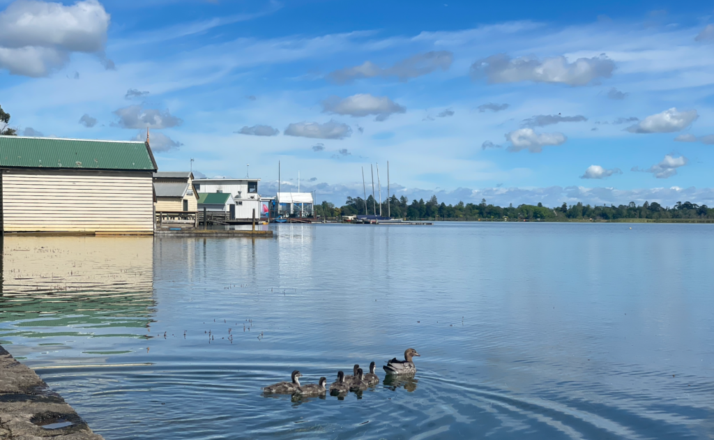 Lake Wendouree